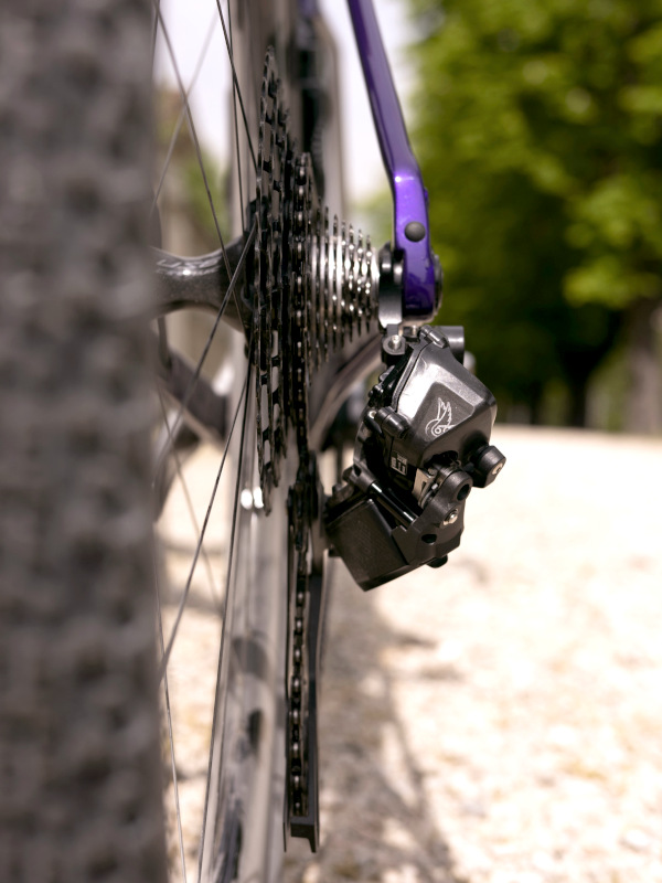 Campagnolo Record 13 speed