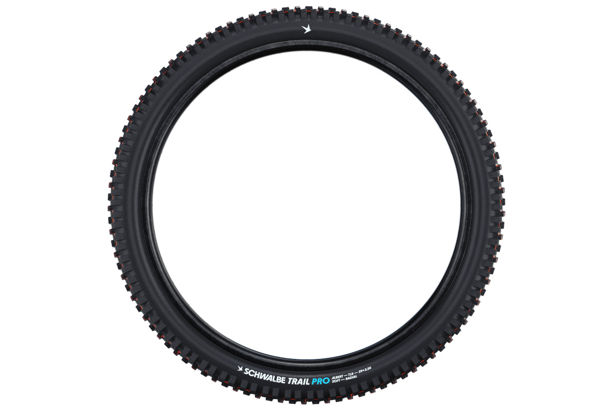 Schwalbe Albert Radial