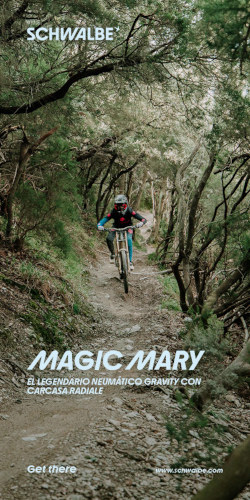 Schwalbe Magic Mary TopBici