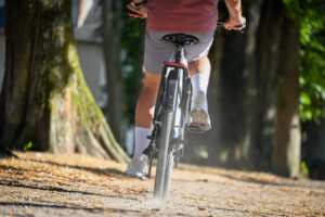 Ananda R525 electric bike