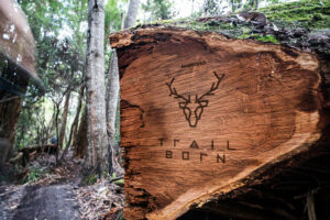 Shimano Trail Born cycling