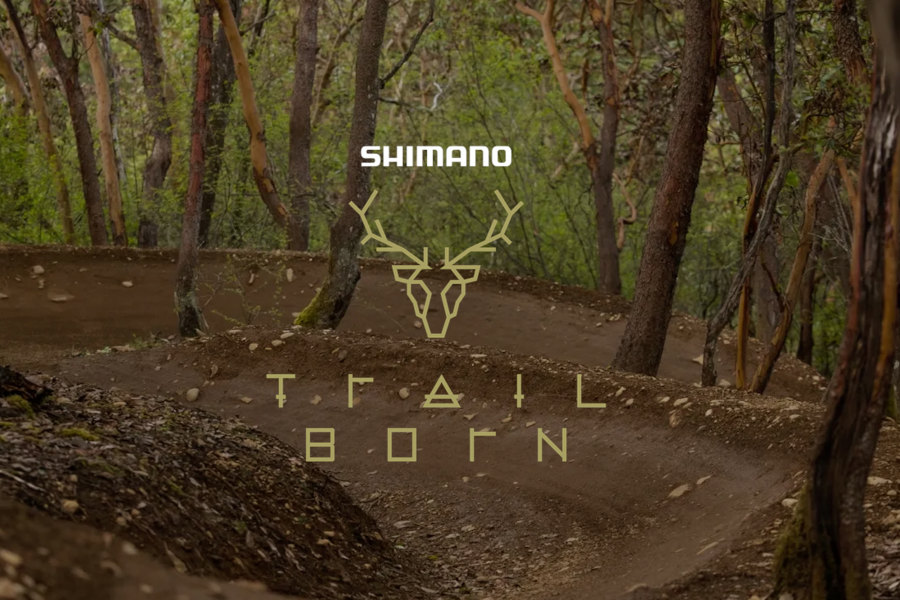 Shimano Trail Born